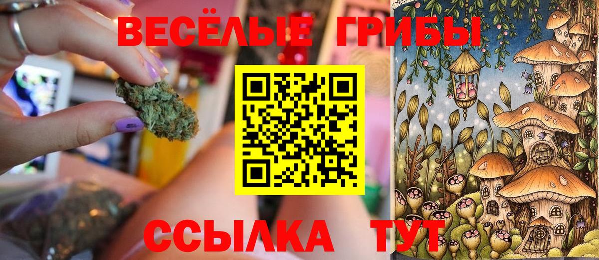 Псилоцибиновые грибы Psilocybe  Вход с VPN  Галлюциногенные грибы прущие грибы  Аргун 