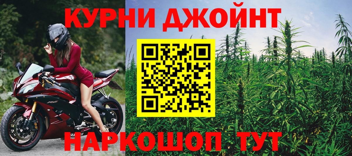 Шишки марихуана план  Конопля Ganja  Бошки Шишки White Widow  Аргун  Вход с VPN  Канабис марихуана 